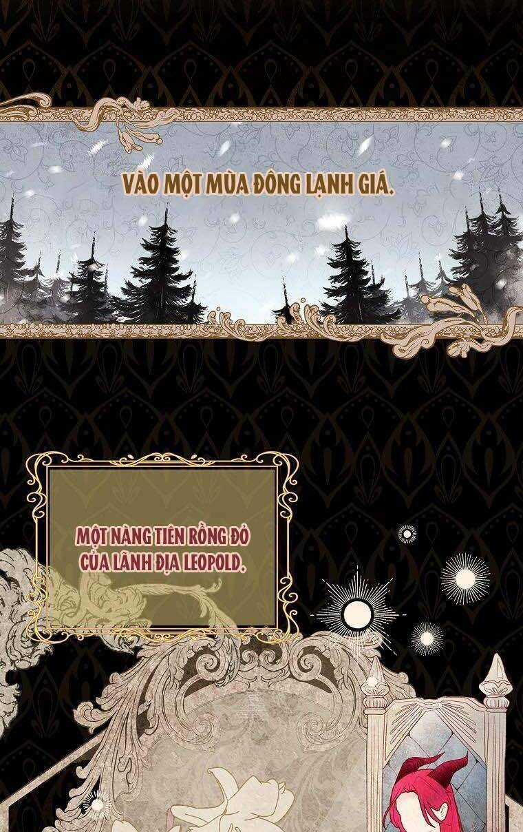 Chồng Tôi Là Người Do Tôi Định Đoạt Chapter 29 trang 51