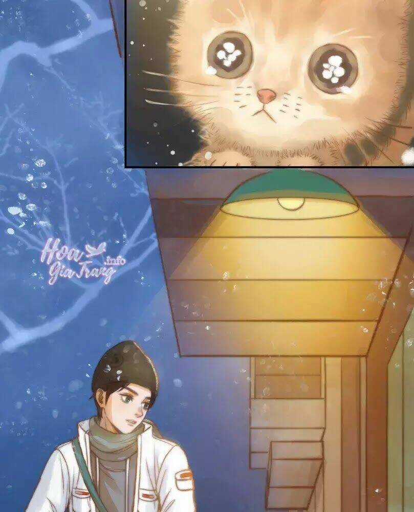 Chồng Trước 18 Tuổi Chapter 12 trang 11