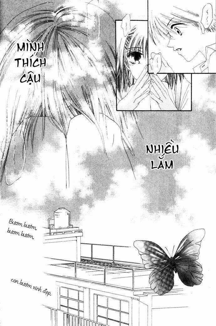 Chouchou Kurabe Chapter 1 trang 26