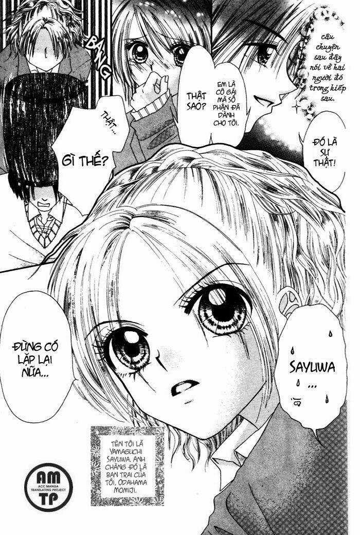 Chouchou Kurabe Chapter 4 trang 4