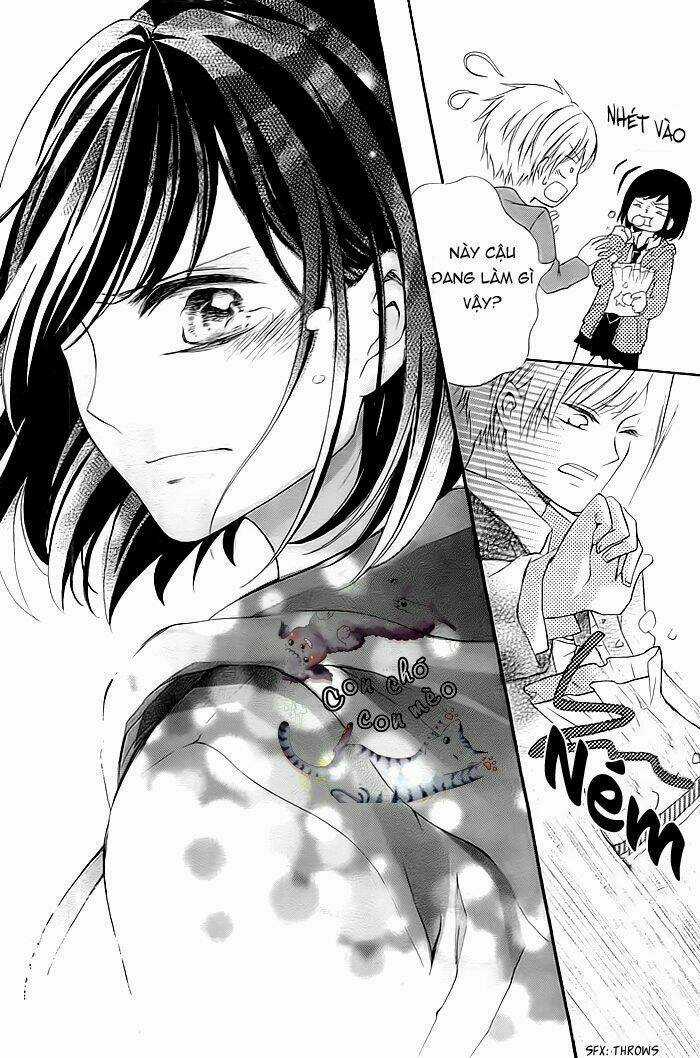 Christmas ni Omoi o Nosete Chapter 1 trang 11