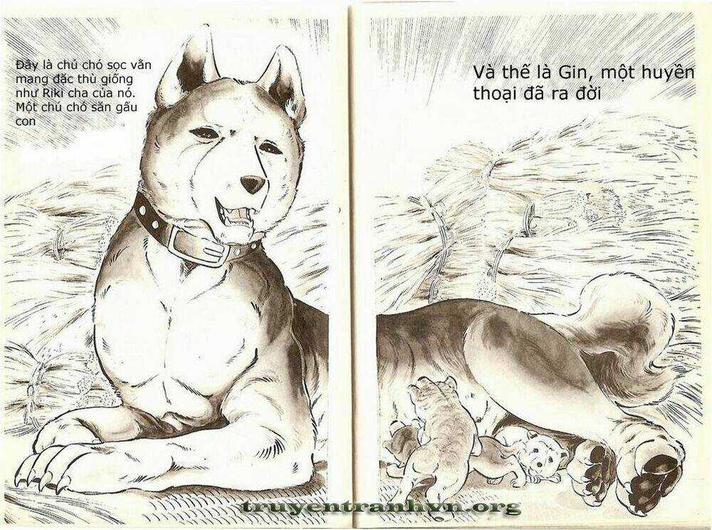 Chú Chó Có Nghĩa - Ginga Nagareboshi Gin Chapter 1 trang 8