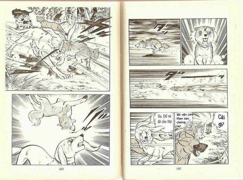 Chú Chó Có Nghĩa - Ginga Nagareboshi Gin Chapter 10 trang 2