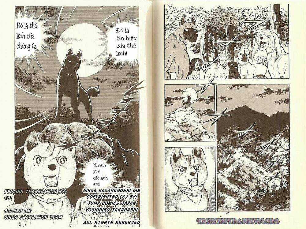 Chú Chó Có Nghĩa - Ginga Nagareboshi Gin Chapter 10 trang 31
