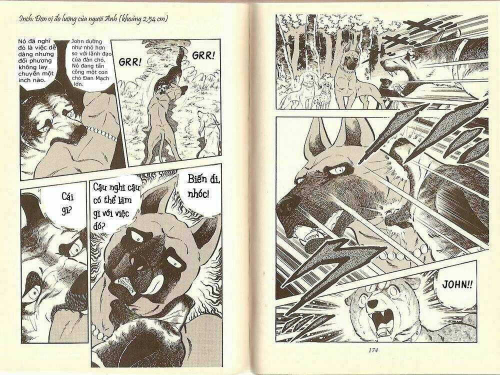 Chú Chó Có Nghĩa - Ginga Nagareboshi Gin Chapter 10 trang 8