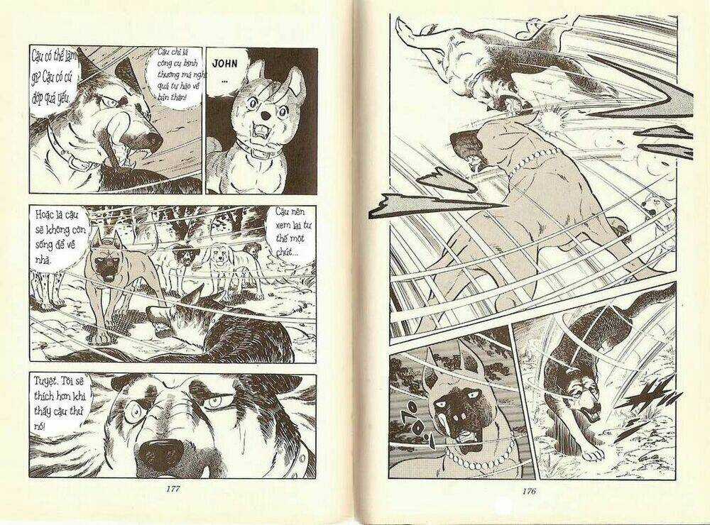Chú Chó Có Nghĩa - Ginga Nagareboshi Gin Chapter 10 trang 9