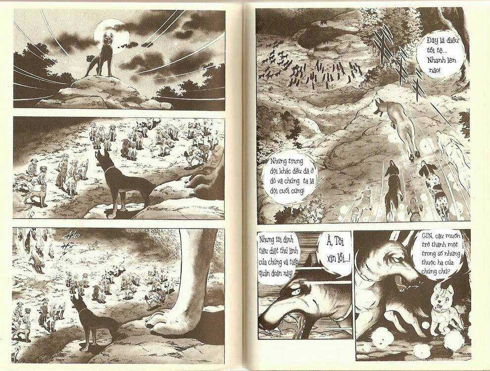Chú Chó Có Nghĩa - Ginga Nagareboshi Gin Chapter 11 trang 2