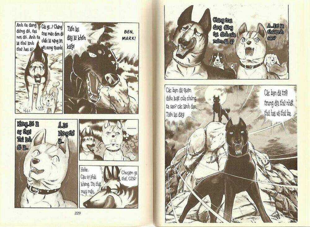 Chú Chó Có Nghĩa - Ginga Nagareboshi Gin Chapter 11 trang 3