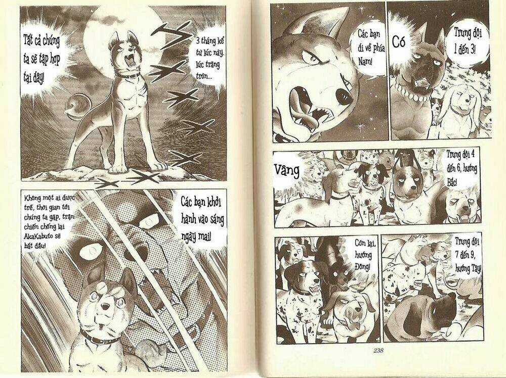 Chú Chó Có Nghĩa - Ginga Nagareboshi Gin Chapter 11 trang 8