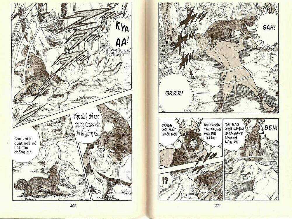 Chú Chó Có Nghĩa - Ginga Nagareboshi Gin Chapter 12 trang 17