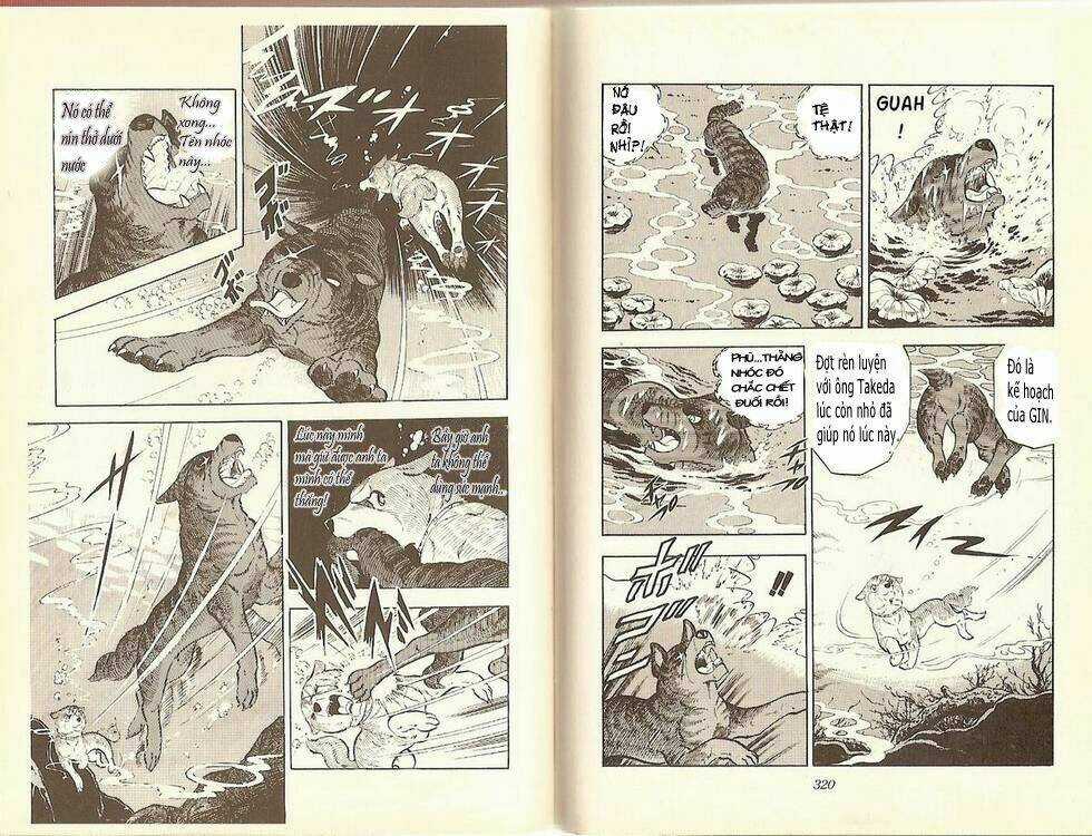 Chú Chó Có Nghĩa - Ginga Nagareboshi Gin Chapter 12 trang 26