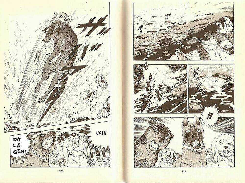 Chú Chó Có Nghĩa - Ginga Nagareboshi Gin Chapter 12 trang 28