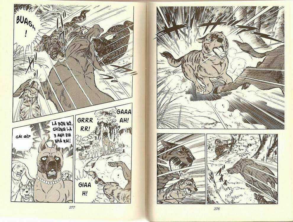 Chú Chó Có Nghĩa - Ginga Nagareboshi Gin Chapter 12 trang 4