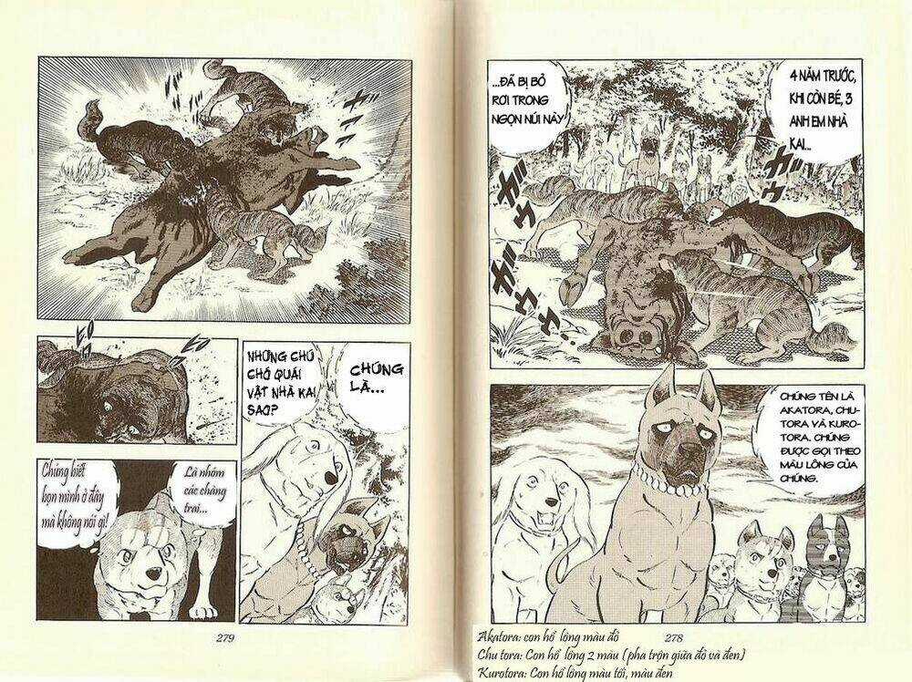 Chú Chó Có Nghĩa - Ginga Nagareboshi Gin Chapter 12 trang 5