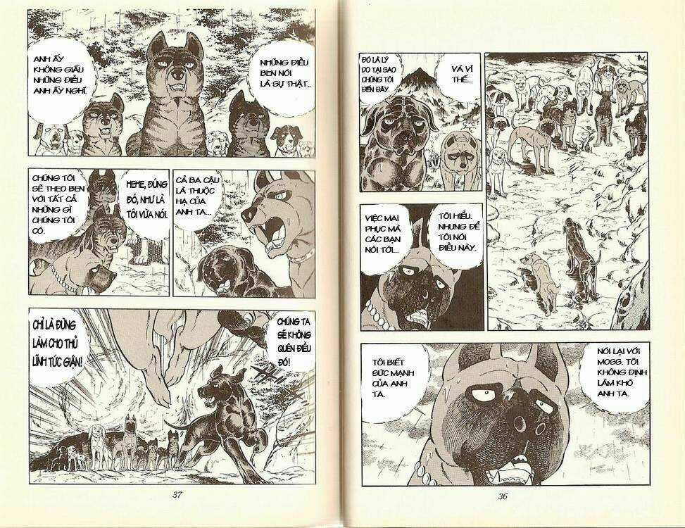 Chú Chó Có Nghĩa - Ginga Nagareboshi Gin Chapter 13 trang 13