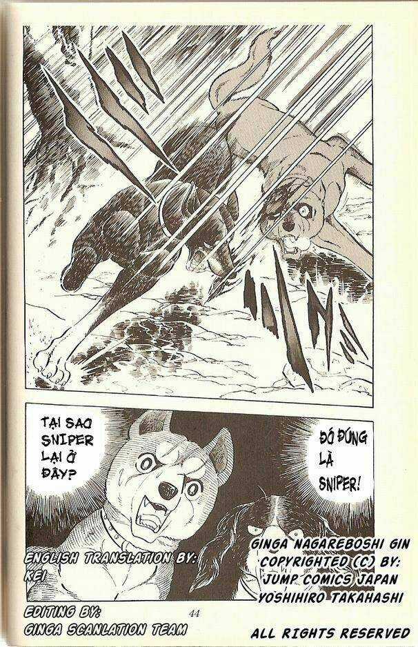 Chú Chó Có Nghĩa - Ginga Nagareboshi Gin Chapter 13 trang 17