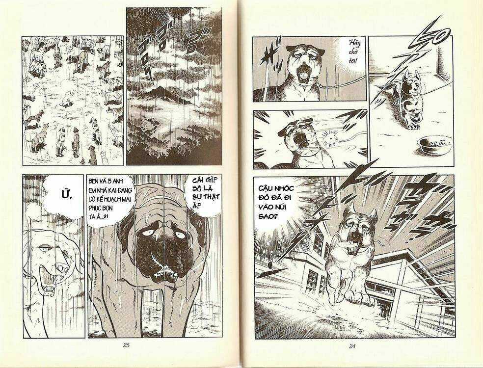 Chú Chó Có Nghĩa - Ginga Nagareboshi Gin Chapter 13 trang 7