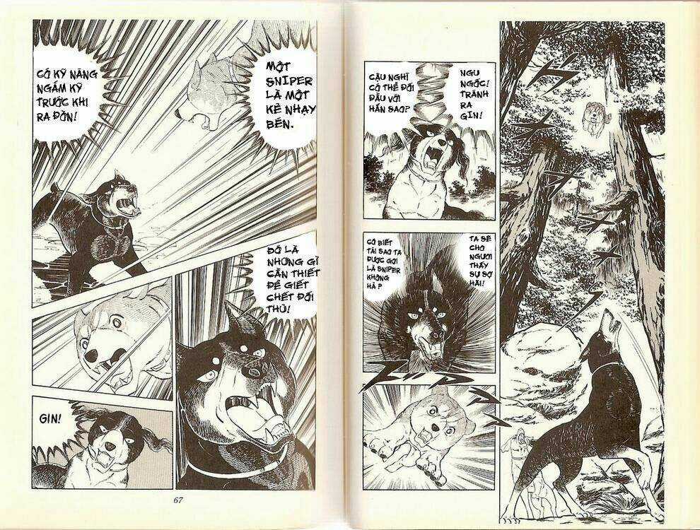 Chú Chó Có Nghĩa - Ginga Nagareboshi Gin Chapter 14 trang 11