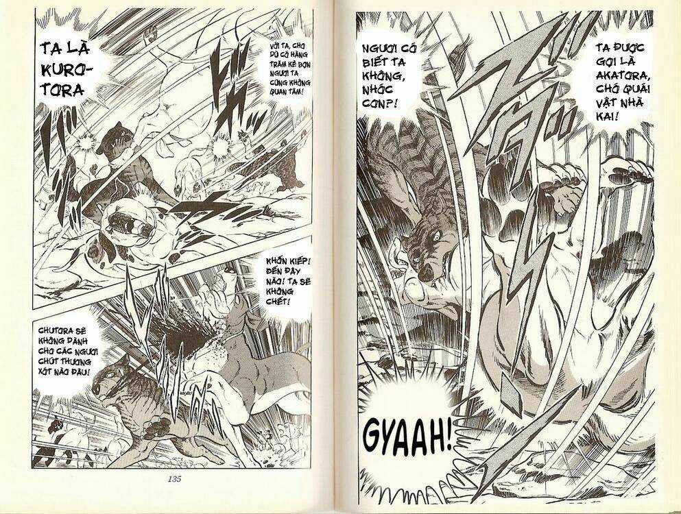 Chú Chó Có Nghĩa - Ginga Nagareboshi Gin Chapter 16 trang 14