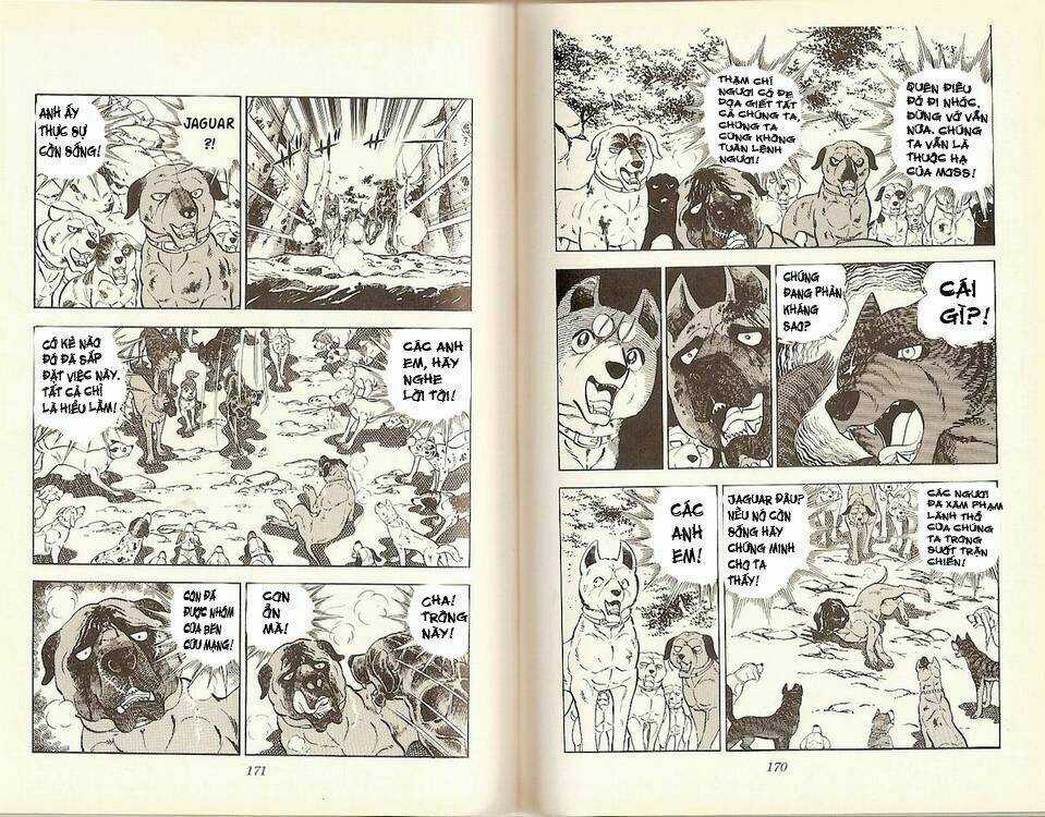 Chú Chó Có Nghĩa - Ginga Nagareboshi Gin Chapter 16 trang 32