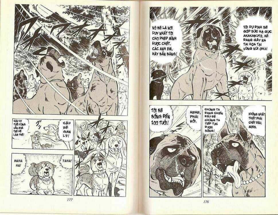 Chú Chó Có Nghĩa - Ginga Nagareboshi Gin Chapter 16 trang 35