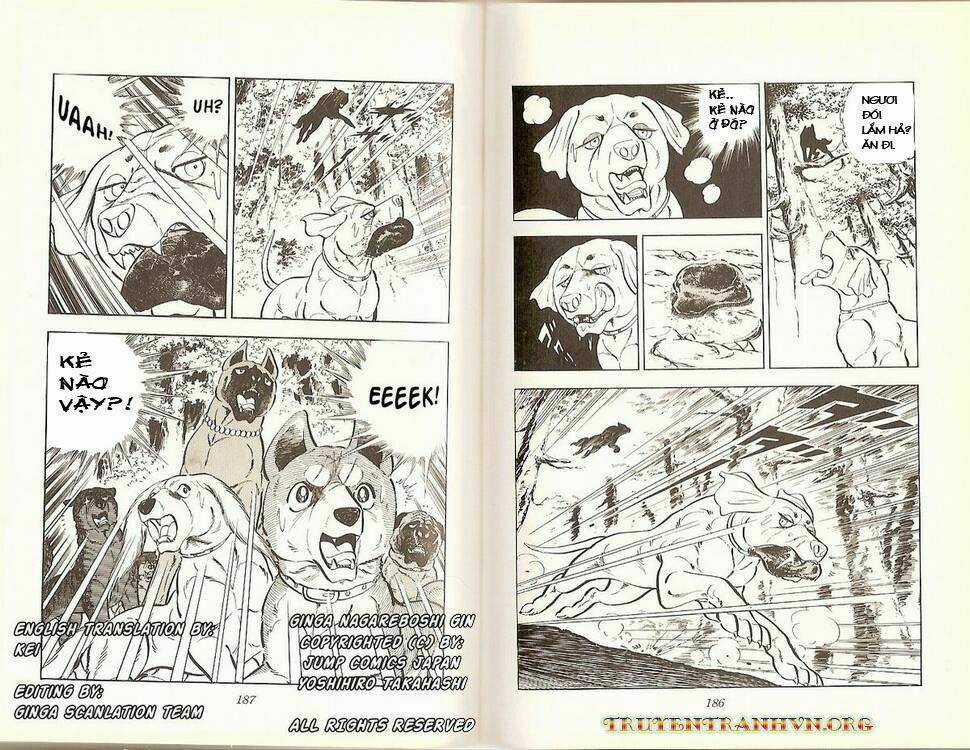 Chú Chó Có Nghĩa - Ginga Nagareboshi Gin Chapter 16 trang 40