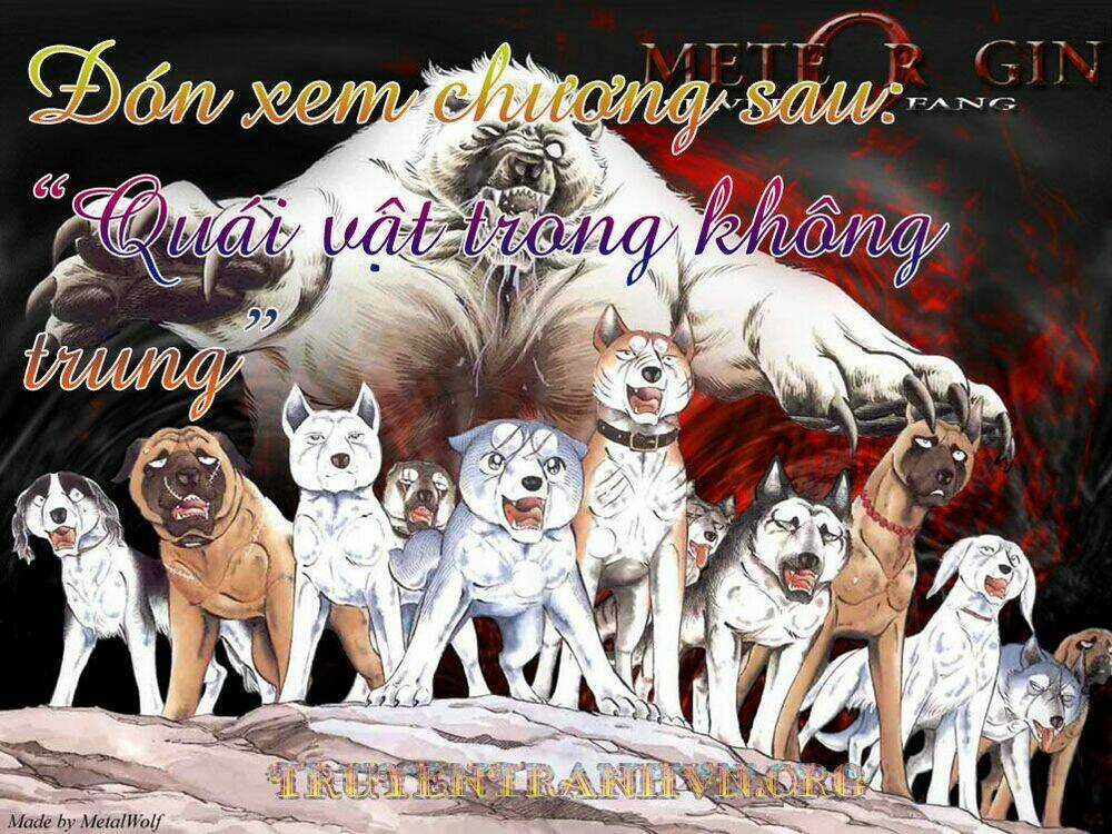 Chú Chó Có Nghĩa - Ginga Nagareboshi Gin Chapter 16 trang 41