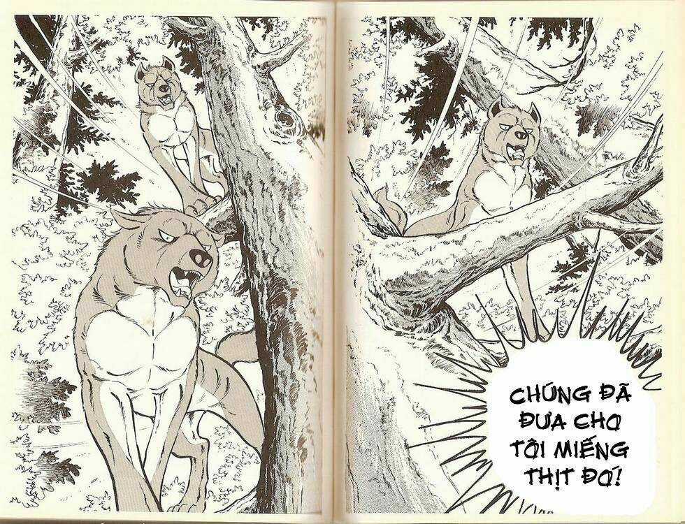 Chú Chó Có Nghĩa - Ginga Nagareboshi Gin Chapter 17 trang 10