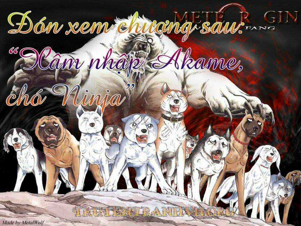 Chú Chó Có Nghĩa - Ginga Nagareboshi Gin Chapter 17 trang 17