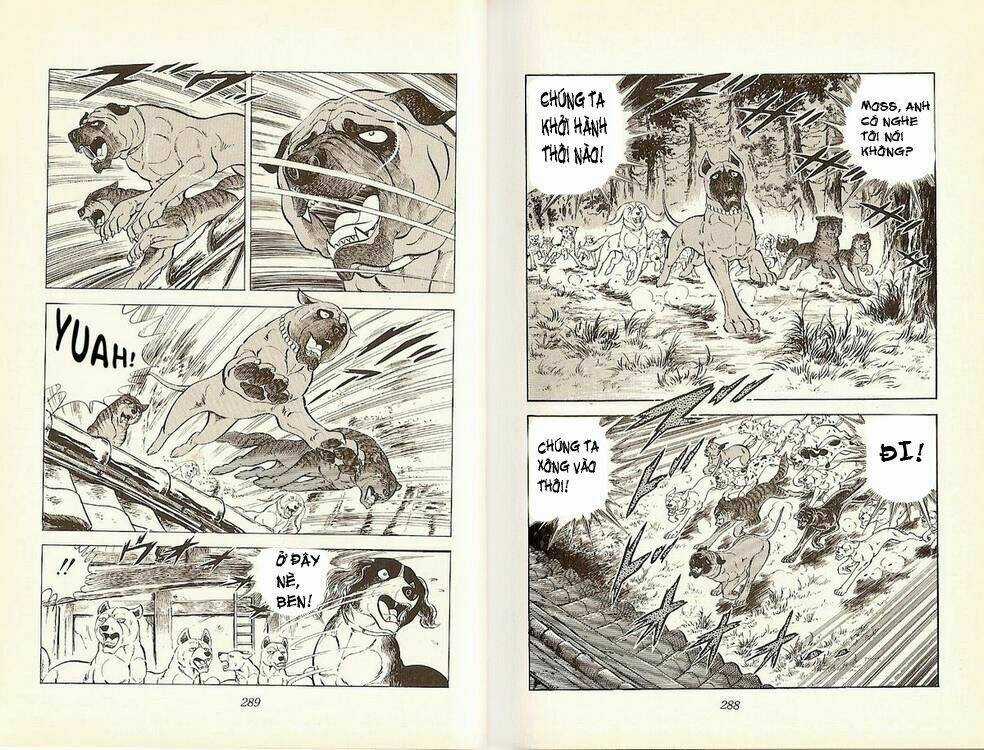 Chú Chó Có Nghĩa - Ginga Nagareboshi Gin Chapter 18 trang 11
