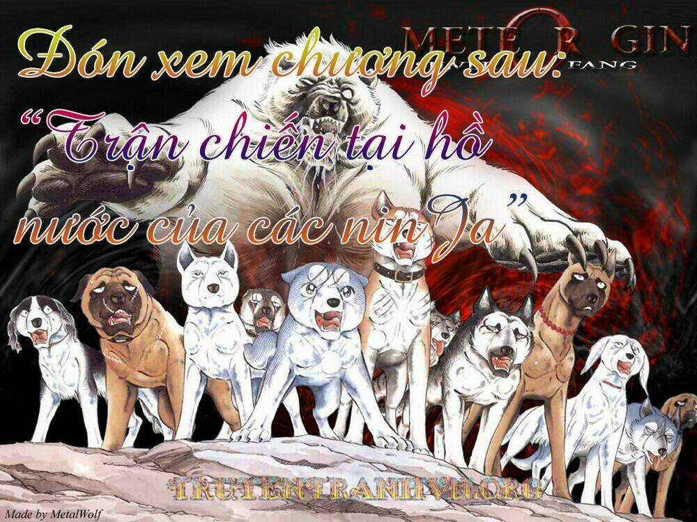 Chú Chó Có Nghĩa - Ginga Nagareboshi Gin Chapter 18 trang 21