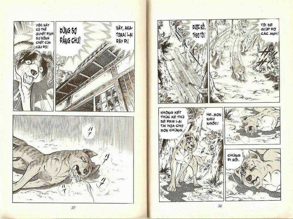 Chú Chó Có Nghĩa - Ginga Nagareboshi Gin Chapter 19 trang 16