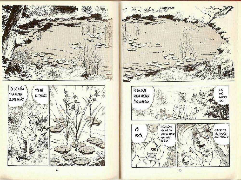 Chú Chó Có Nghĩa - Ginga Nagareboshi Gin Chapter 19 trang 18