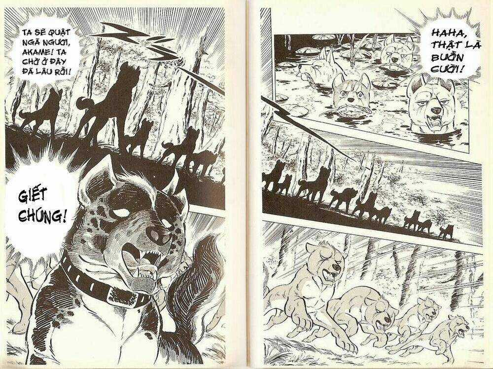 Chú Chó Có Nghĩa - Ginga Nagareboshi Gin Chapter 19 trang 20