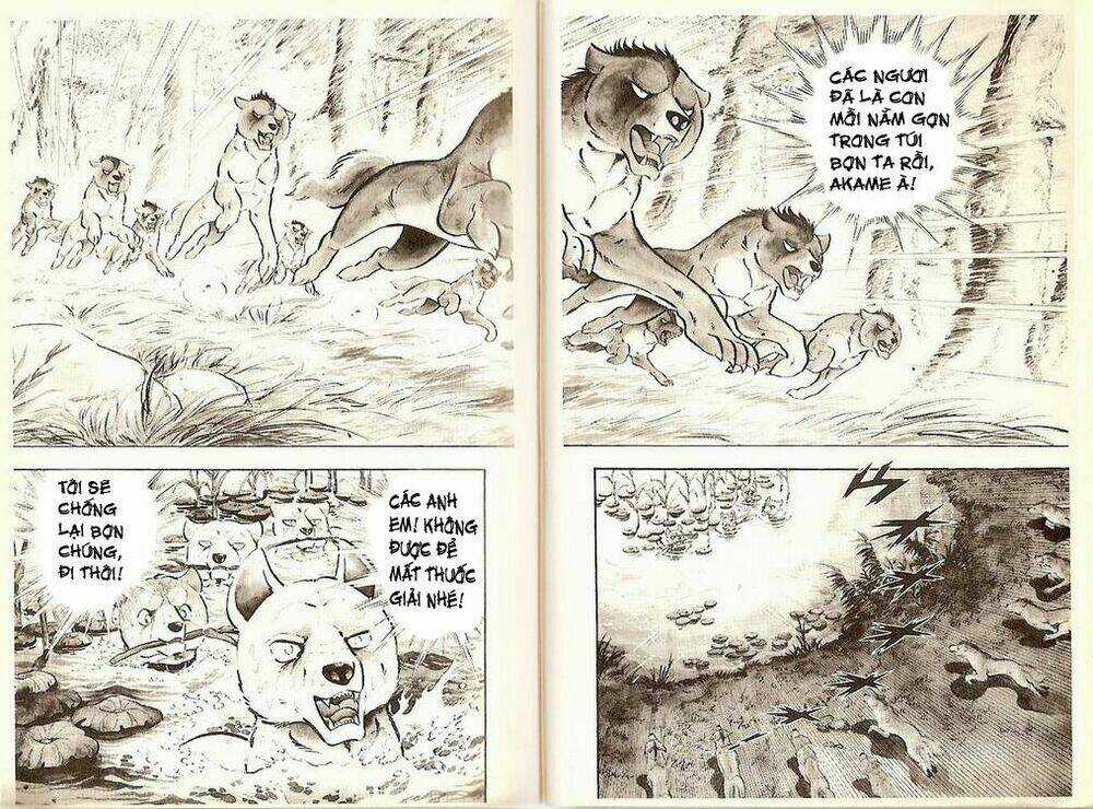 Chú Chó Có Nghĩa - Ginga Nagareboshi Gin Chapter 19 trang 21