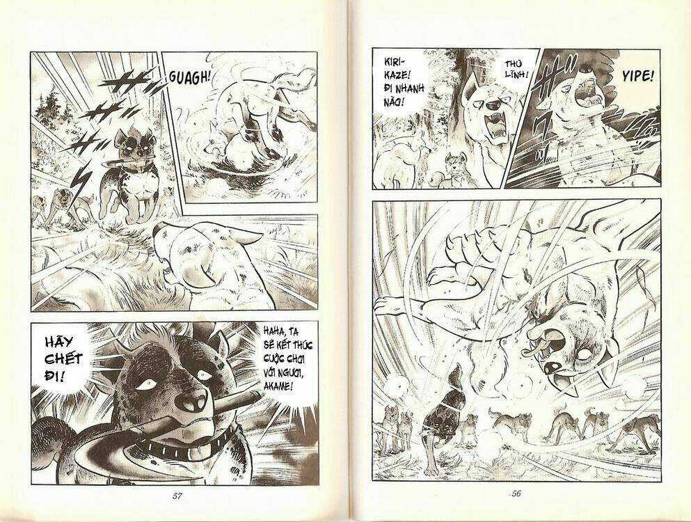 Chú Chó Có Nghĩa - Ginga Nagareboshi Gin Chapter 19 trang 26