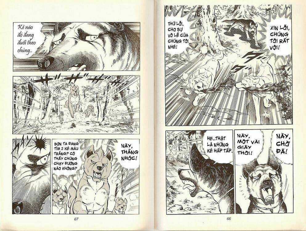 Chú Chó Có Nghĩa - Ginga Nagareboshi Gin Chapter 19 trang 31