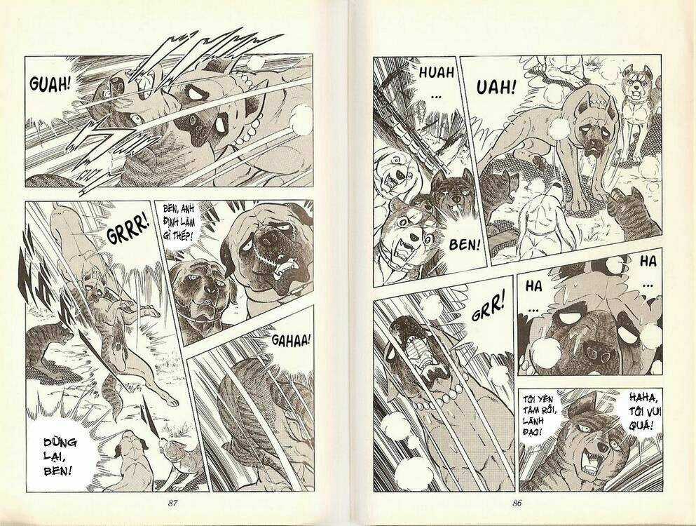 Chú Chó Có Nghĩa - Ginga Nagareboshi Gin Chapter 19 trang 41