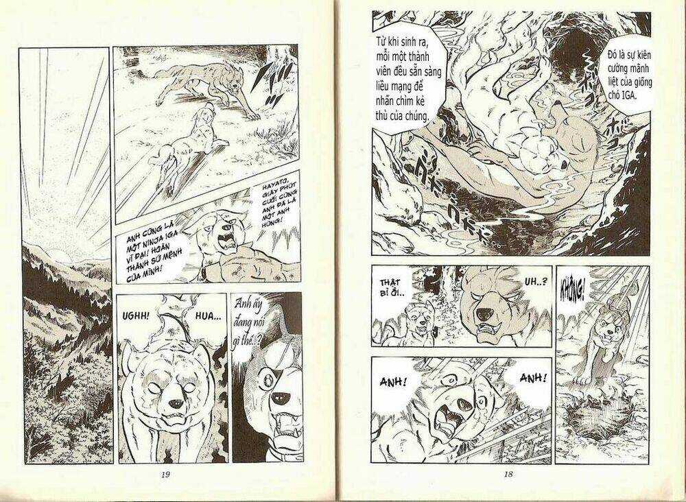 Chú Chó Có Nghĩa - Ginga Nagareboshi Gin Chapter 19 trang 7