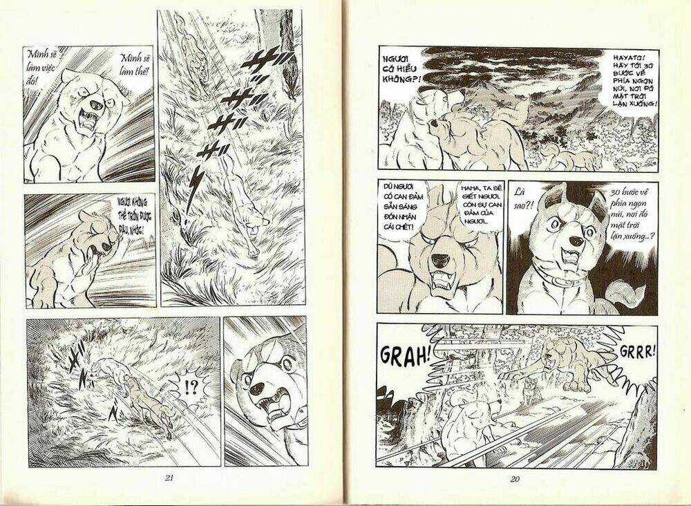 Chú Chó Có Nghĩa - Ginga Nagareboshi Gin Chapter 19 trang 8