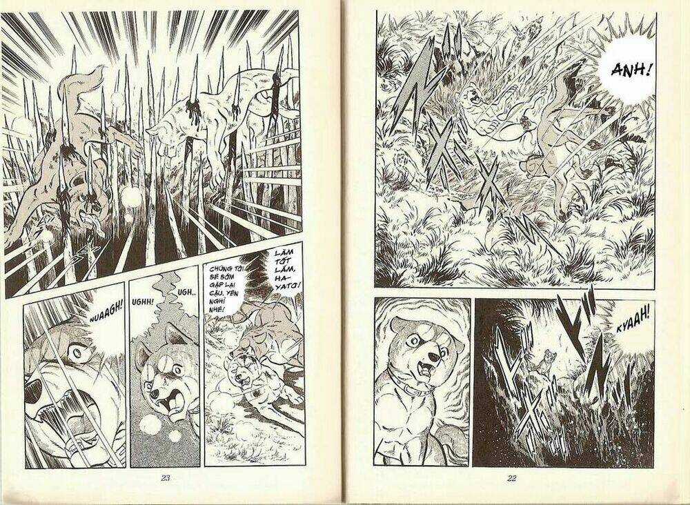 Chú Chó Có Nghĩa - Ginga Nagareboshi Gin Chapter 19 trang 9