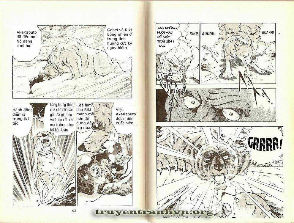 Chú Chó Có Nghĩa - Ginga Nagareboshi Gin Chapter 2 trang 17