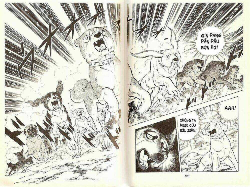 Chú Chó Có Nghĩa - Ginga Nagareboshi Gin Chapter 20 trang 12
