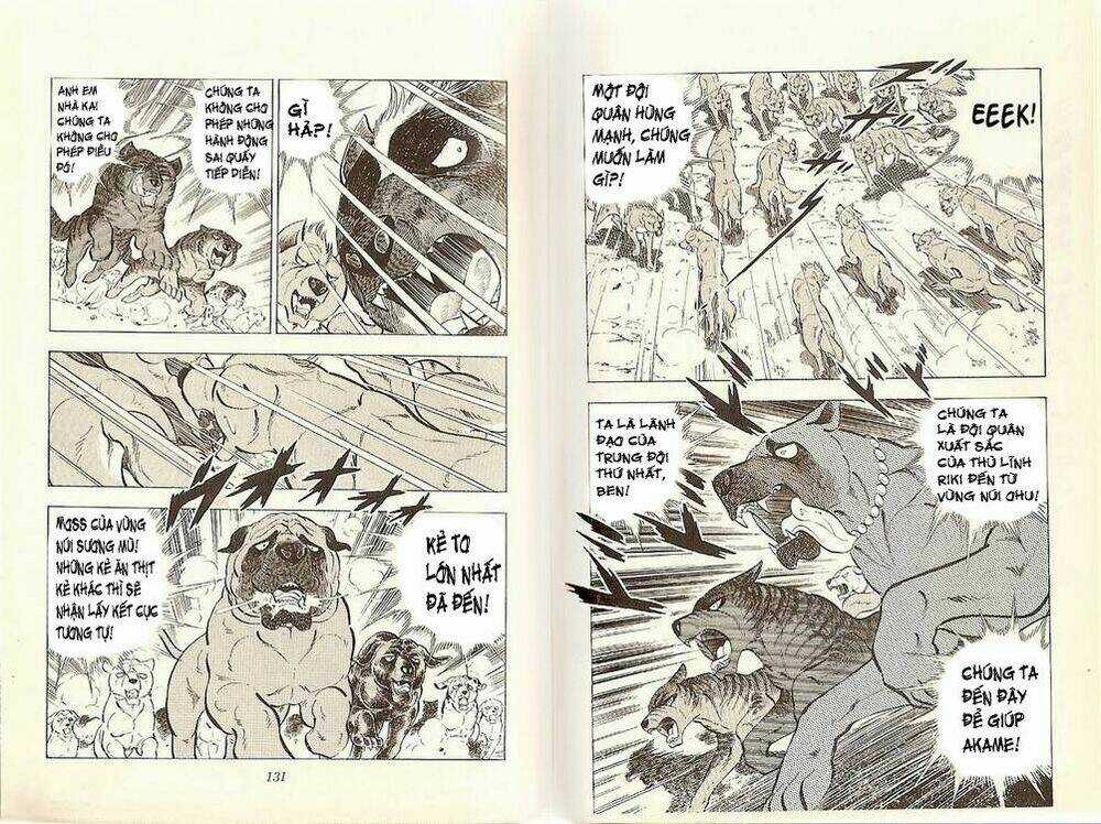 Chú Chó Có Nghĩa - Ginga Nagareboshi Gin Chapter 20 trang 13