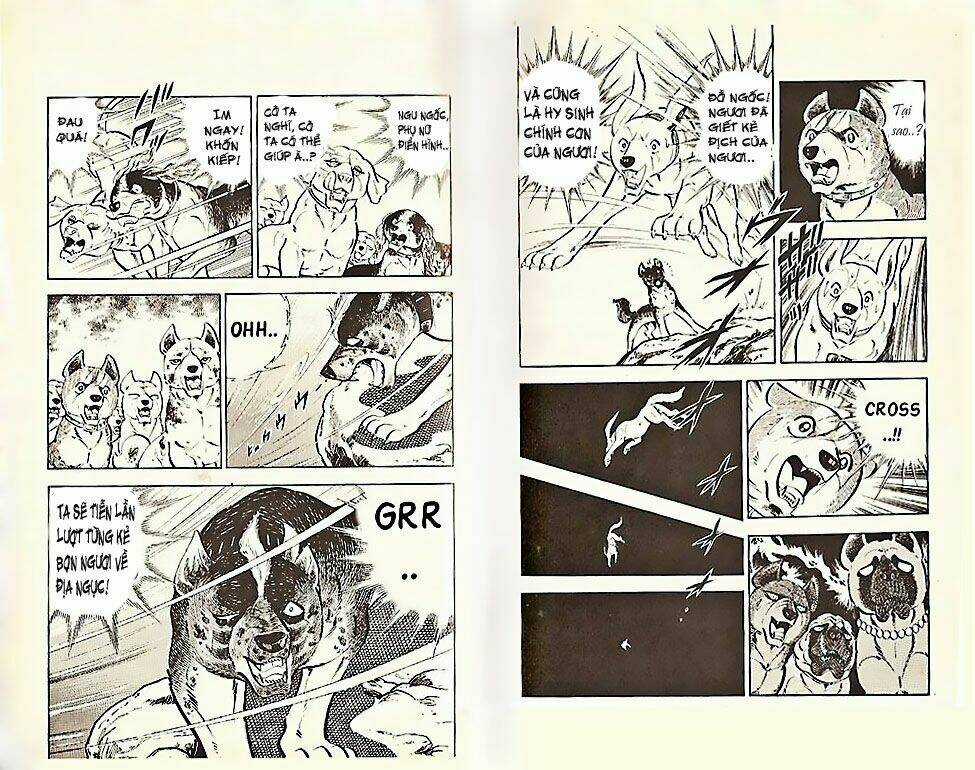 Chú Chó Có Nghĩa - Ginga Nagareboshi Gin Chapter 21 trang 11