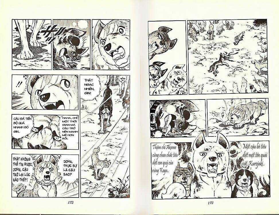 Chú Chó Có Nghĩa - Ginga Nagareboshi Gin Chapter 21 trang 15