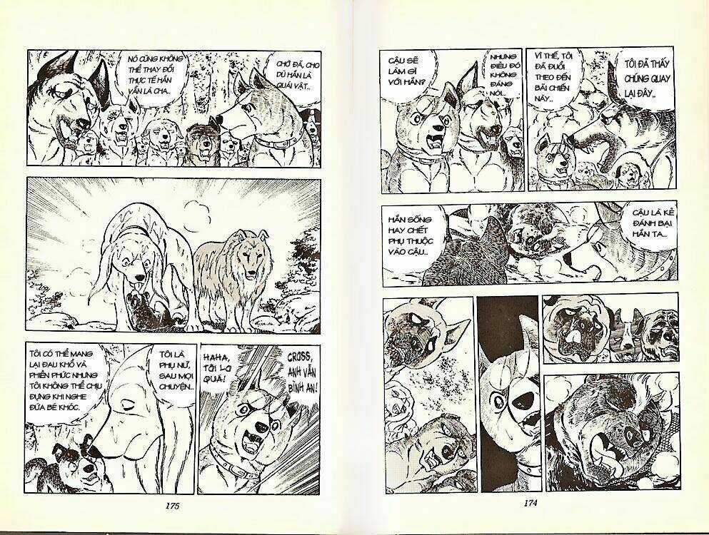 Chú Chó Có Nghĩa - Ginga Nagareboshi Gin Chapter 21 trang 16