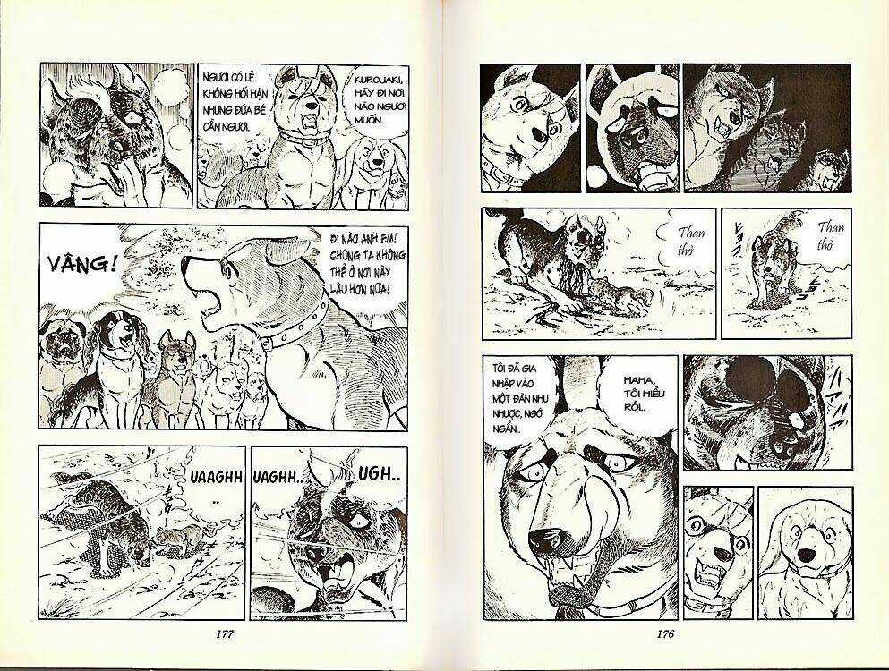 Chú Chó Có Nghĩa - Ginga Nagareboshi Gin Chapter 21 trang 17