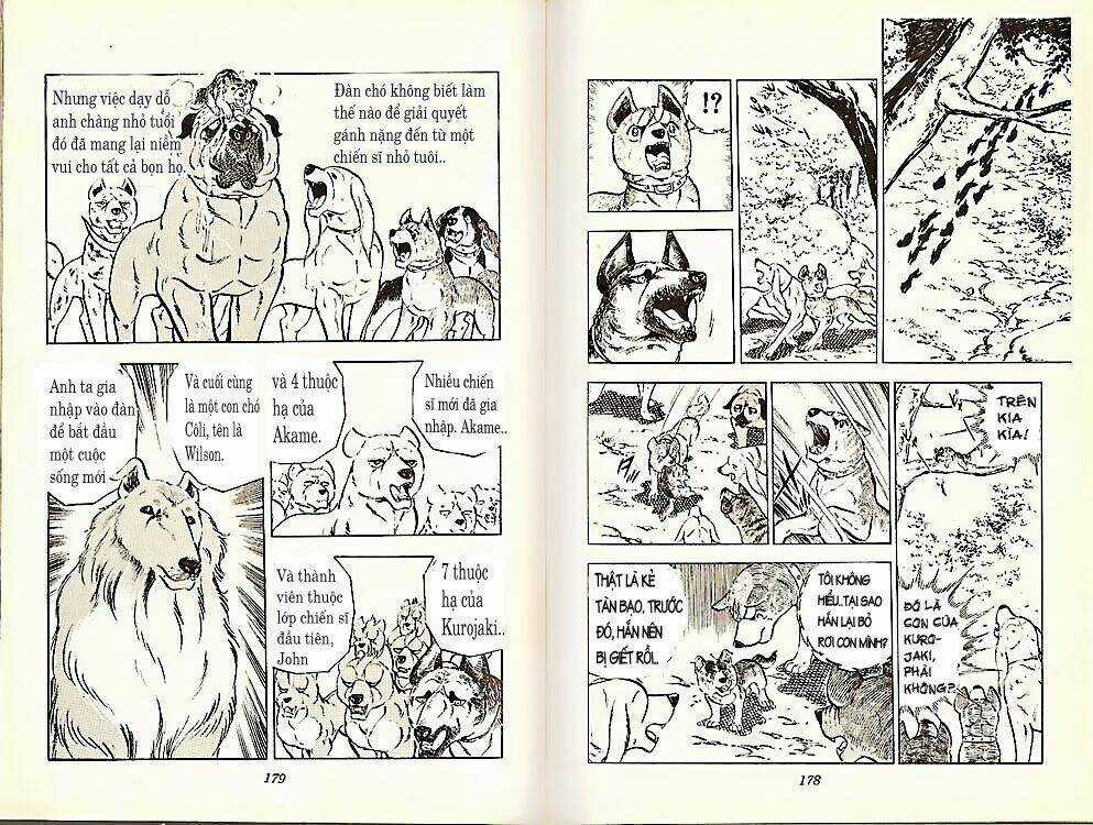 Chú Chó Có Nghĩa - Ginga Nagareboshi Gin Chapter 21 trang 18