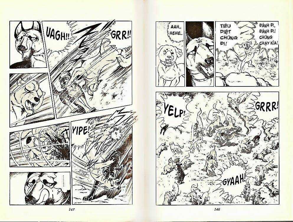 Chú Chó Có Nghĩa - Ginga Nagareboshi Gin Chapter 21 trang 2